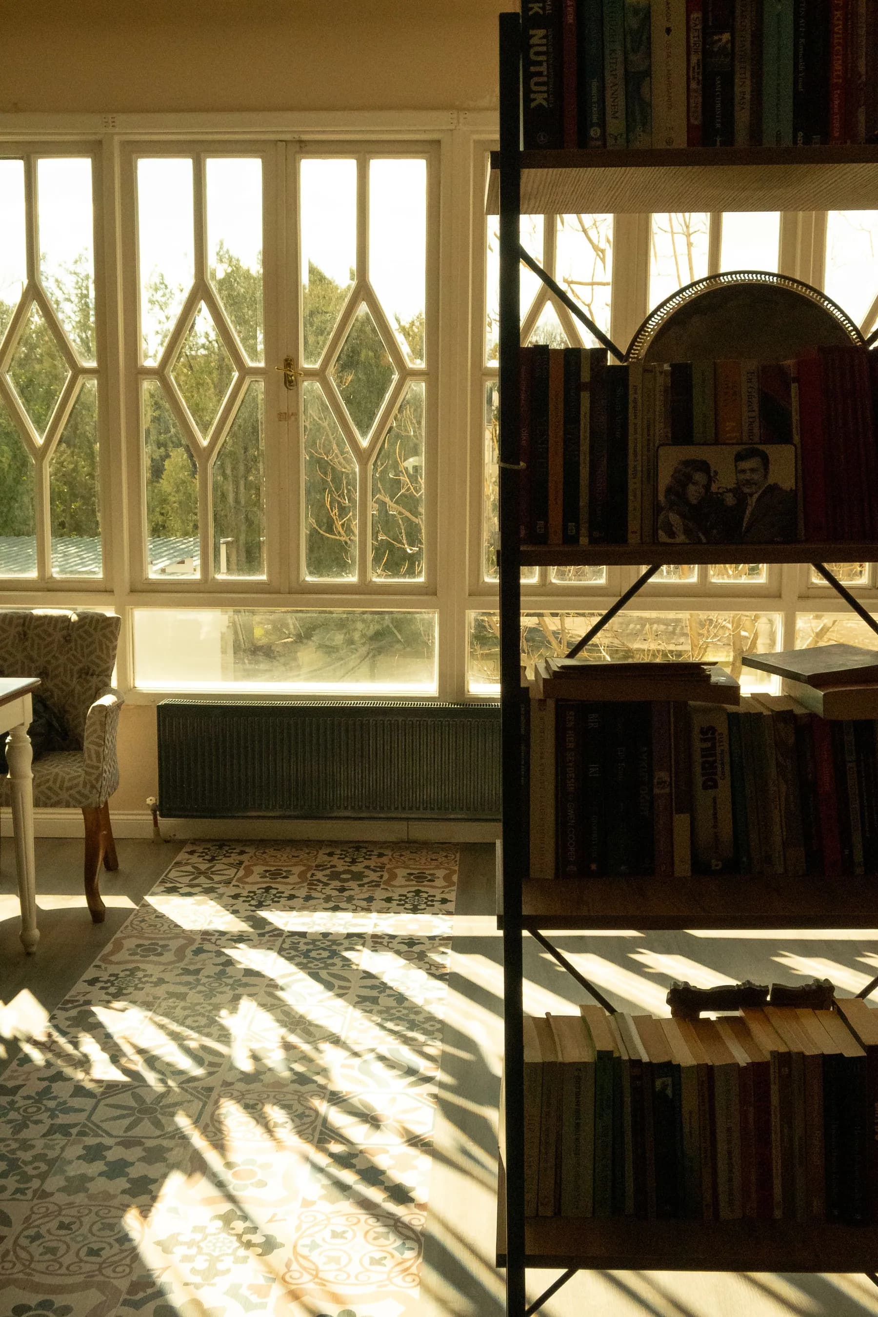 A warm, book-lined room in soft window light