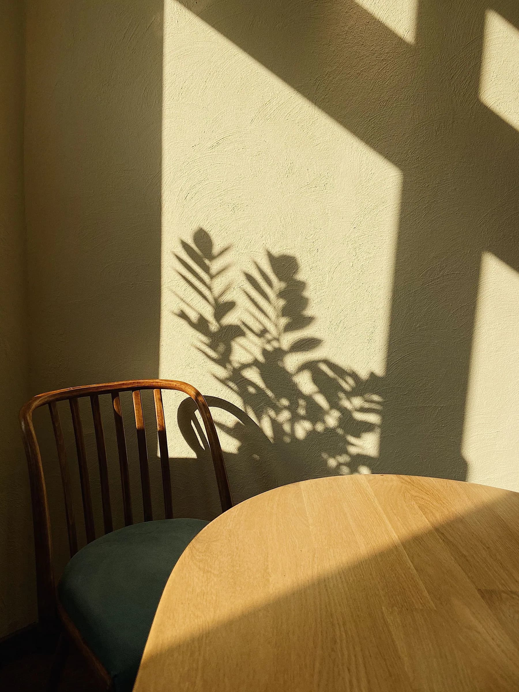 A wooden chair and table in warm sunlight, with soft plant shadows on the wall