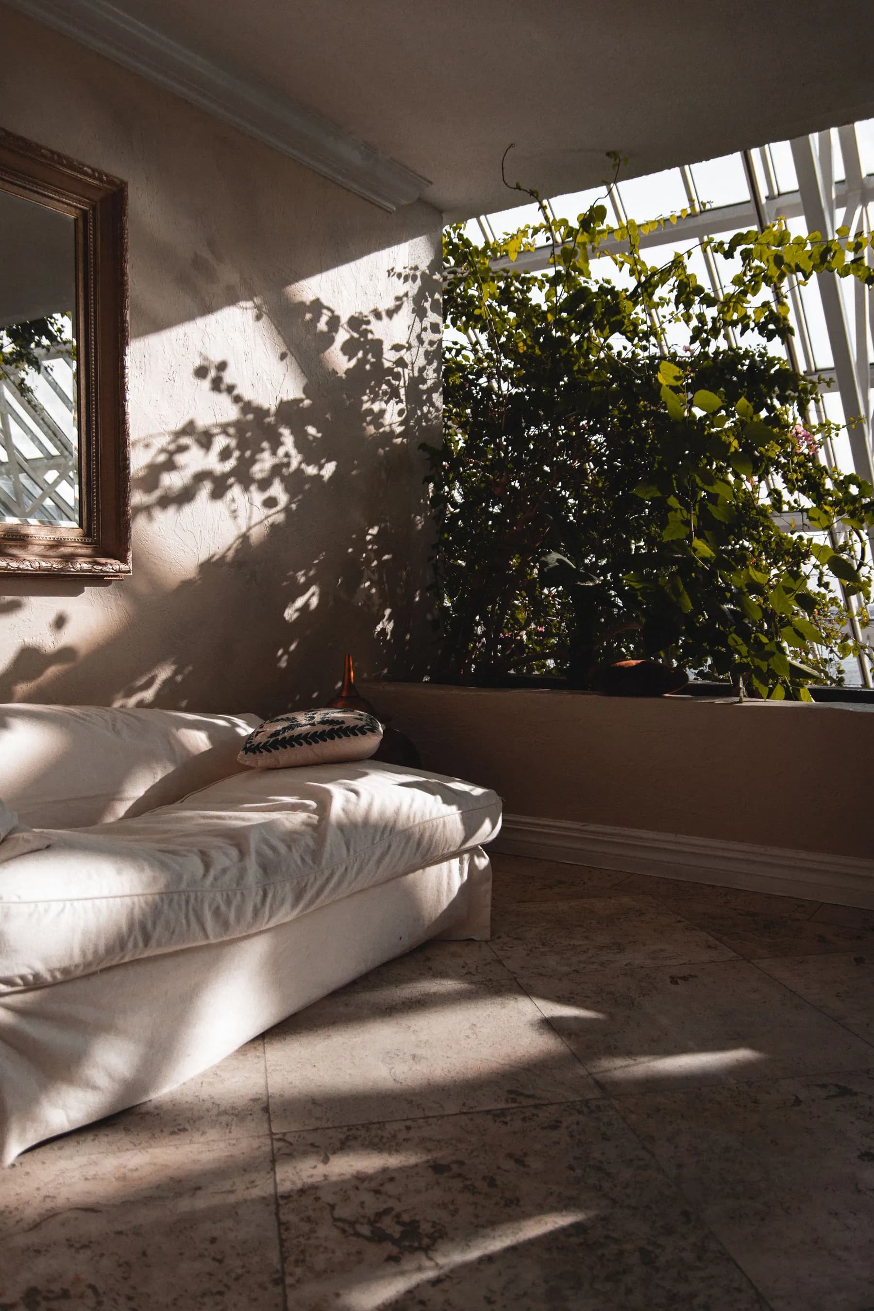 A sunlit corner with a soft couch and green plants